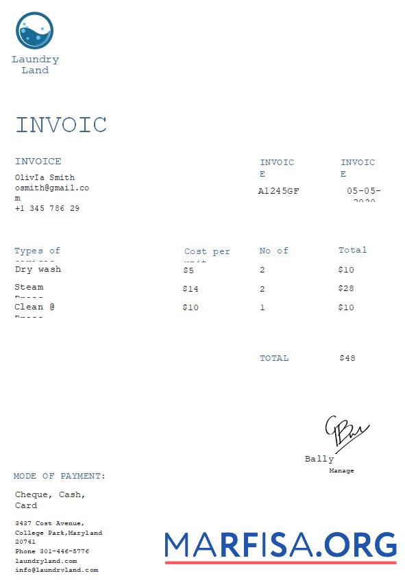 Realistic Free Laundry Invoice Template